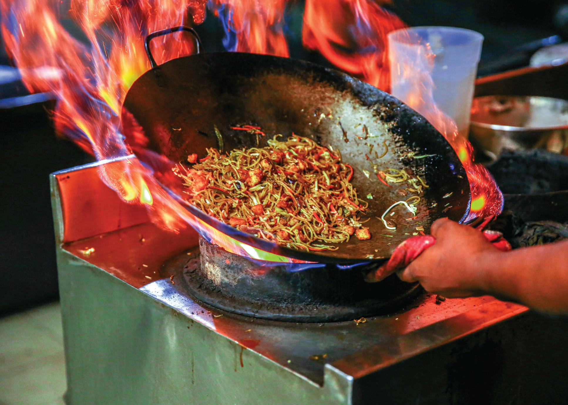 Exploring the Fusion: The Fascinating History of Indo-Chinese Cuisine